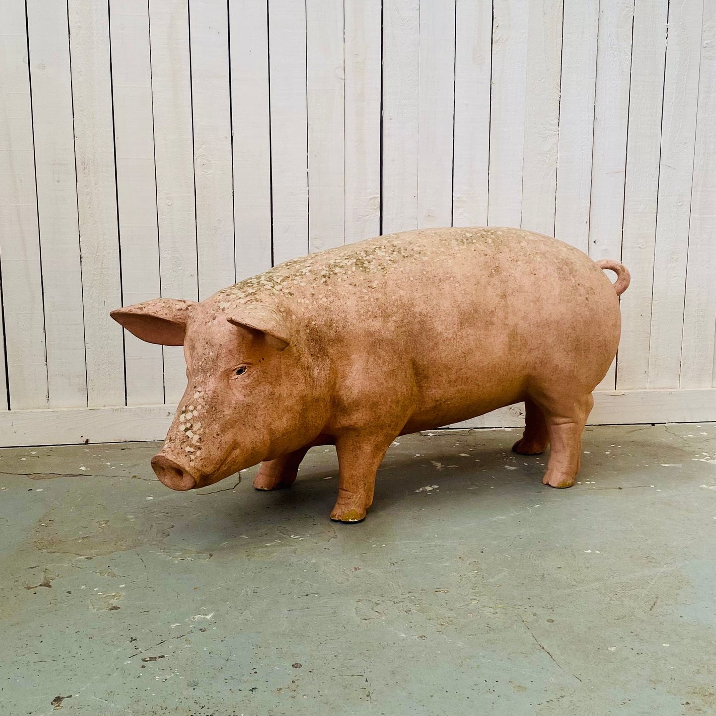 XL Butcher's Shop Display Pig