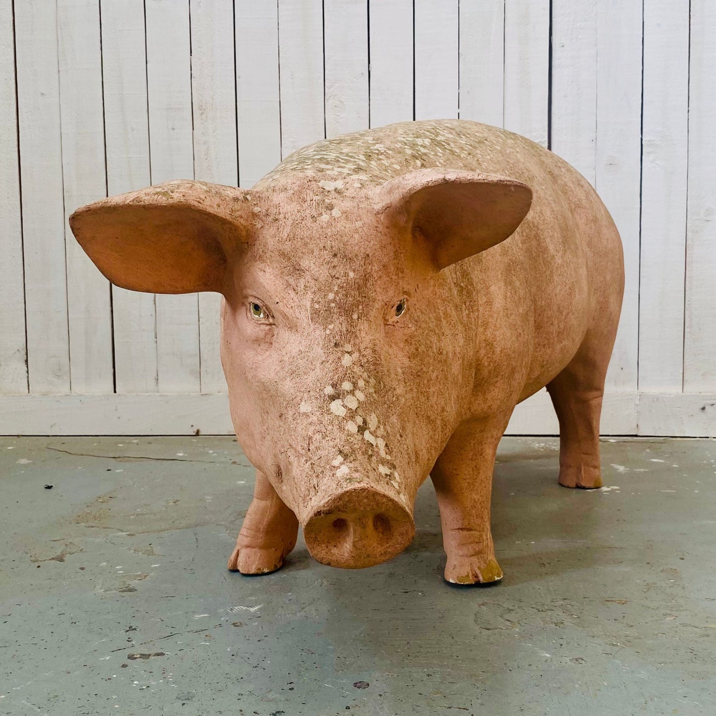XL Butcher's Shop Display Pig