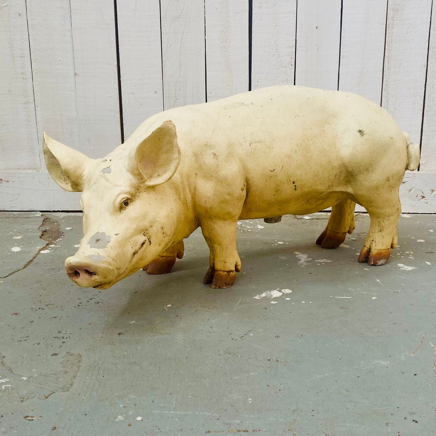 Small Butcher's Shop Display Pig