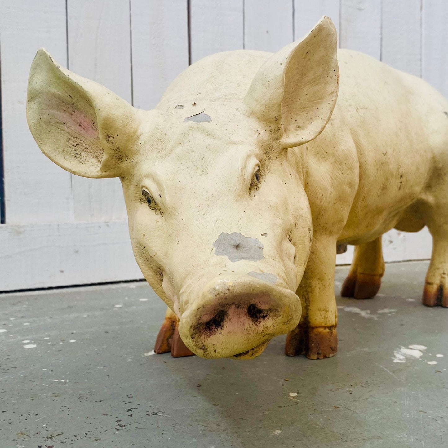 Small Butcher's Shop Display Pig