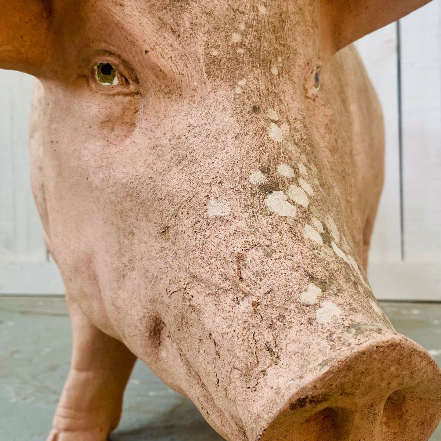 XL Butcher's Shop Display Pig