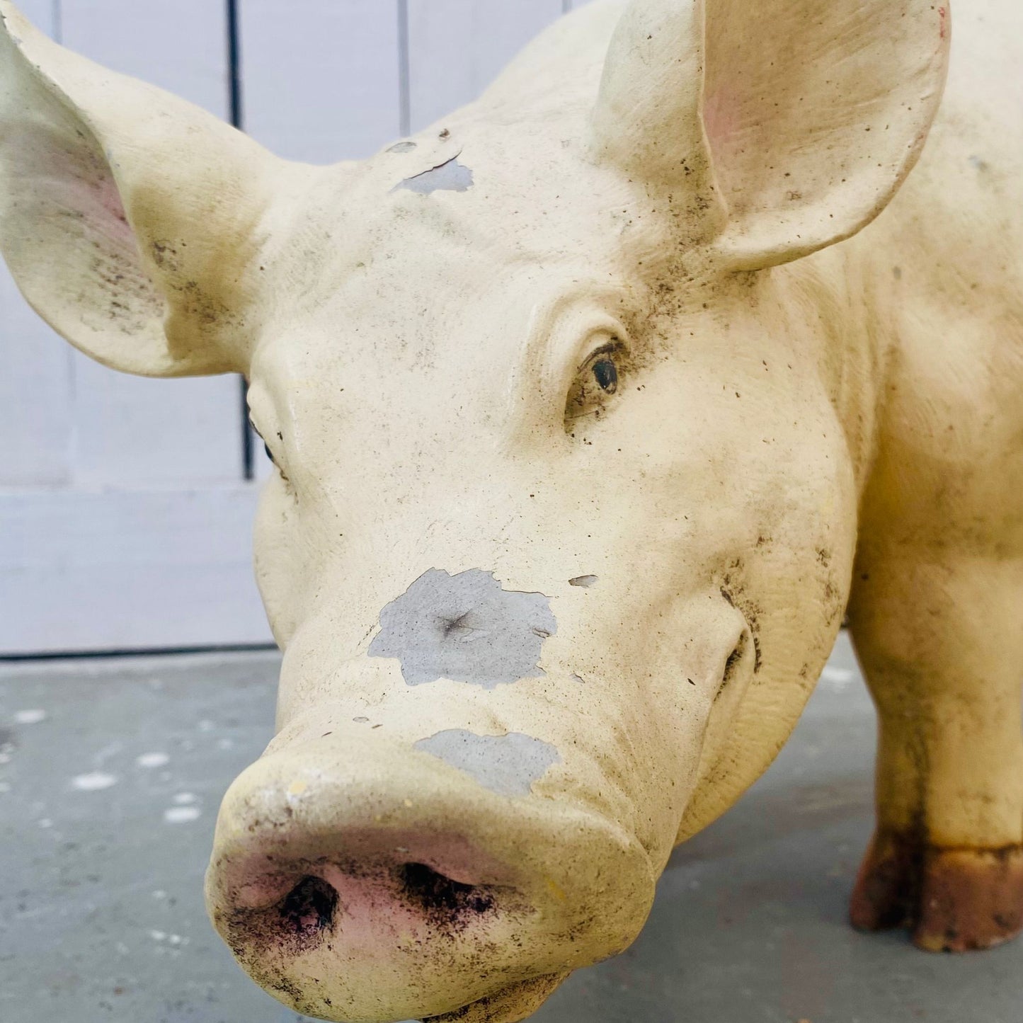 Small Butcher's Shop Display Pig