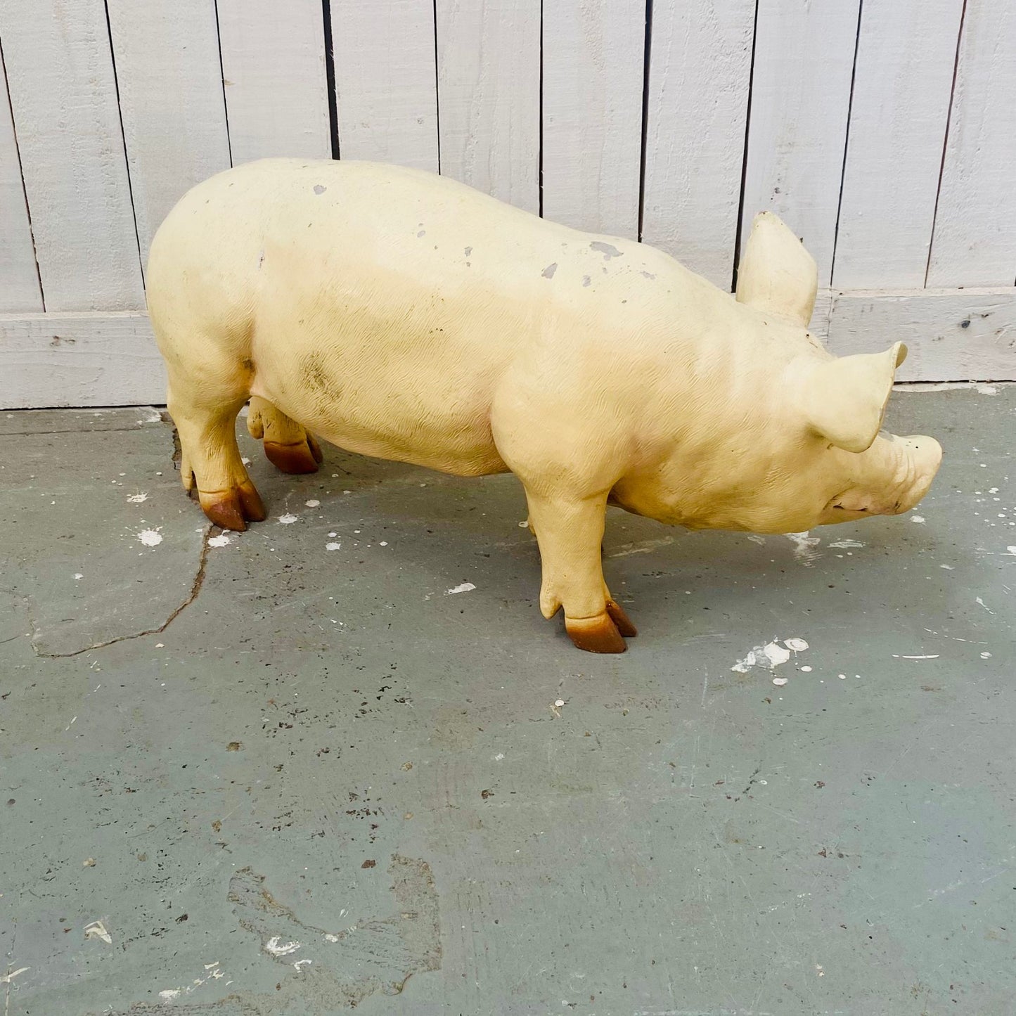 Small Butcher's Shop Display Pig