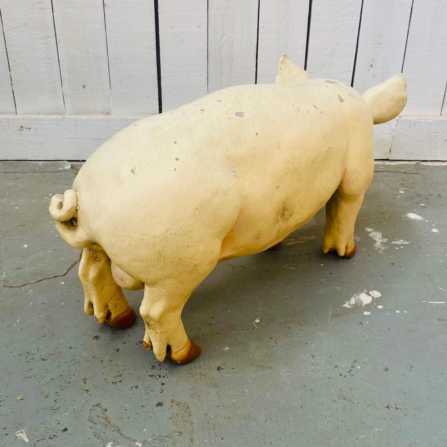 Small Butcher's Shop Display Pig