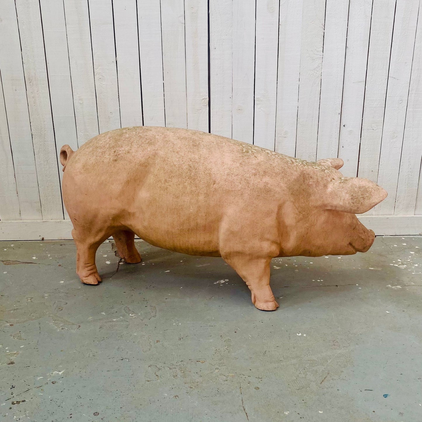 XL Butcher's Shop Display Pig