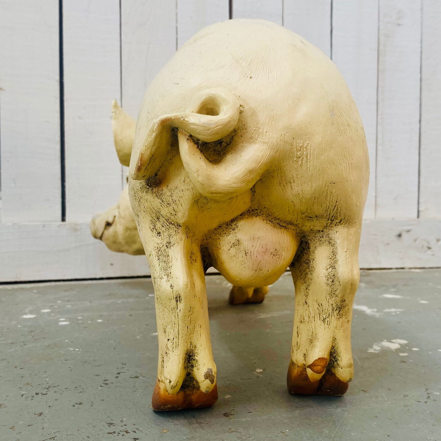 Small Butcher's Shop Display Pig