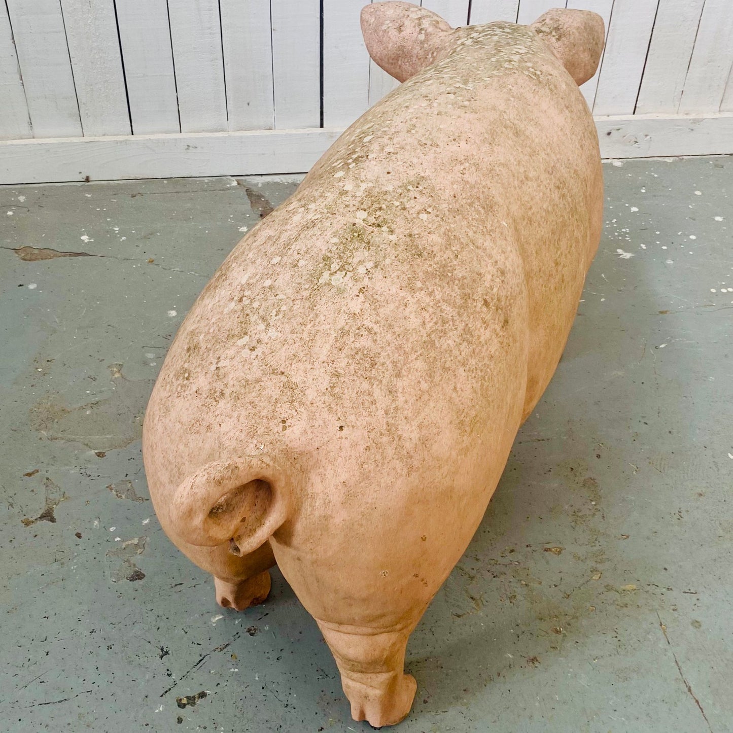 XL Butcher's Shop Display Pig