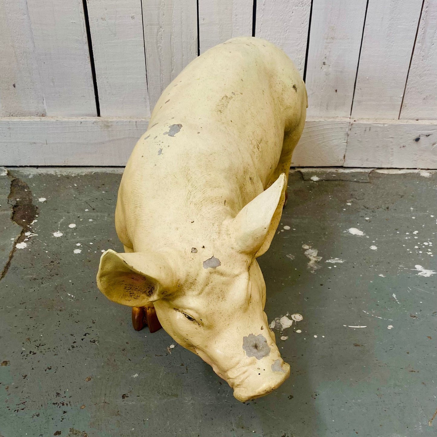 Small Butcher's Shop Display Pig