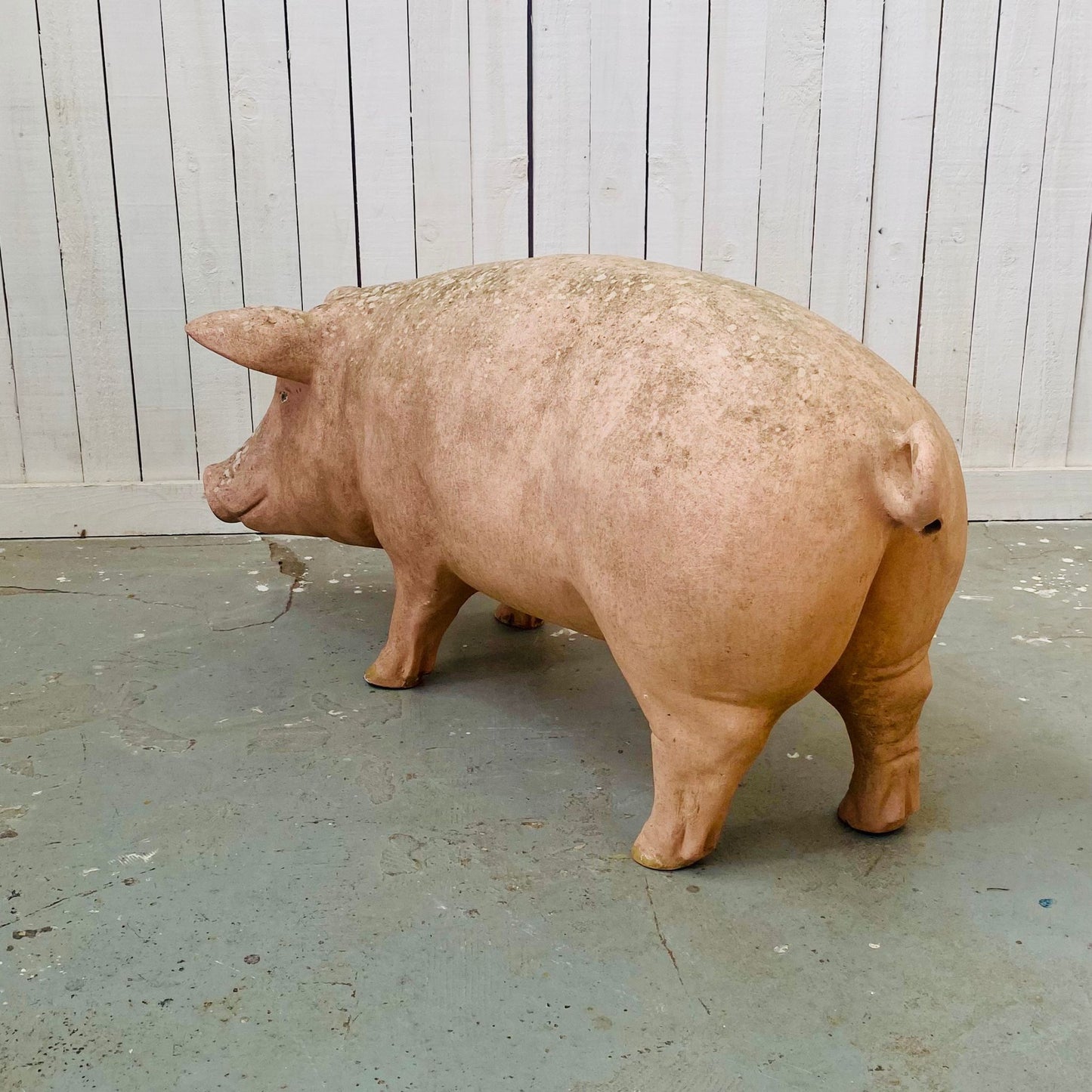 XL Butcher's Shop Display Pig