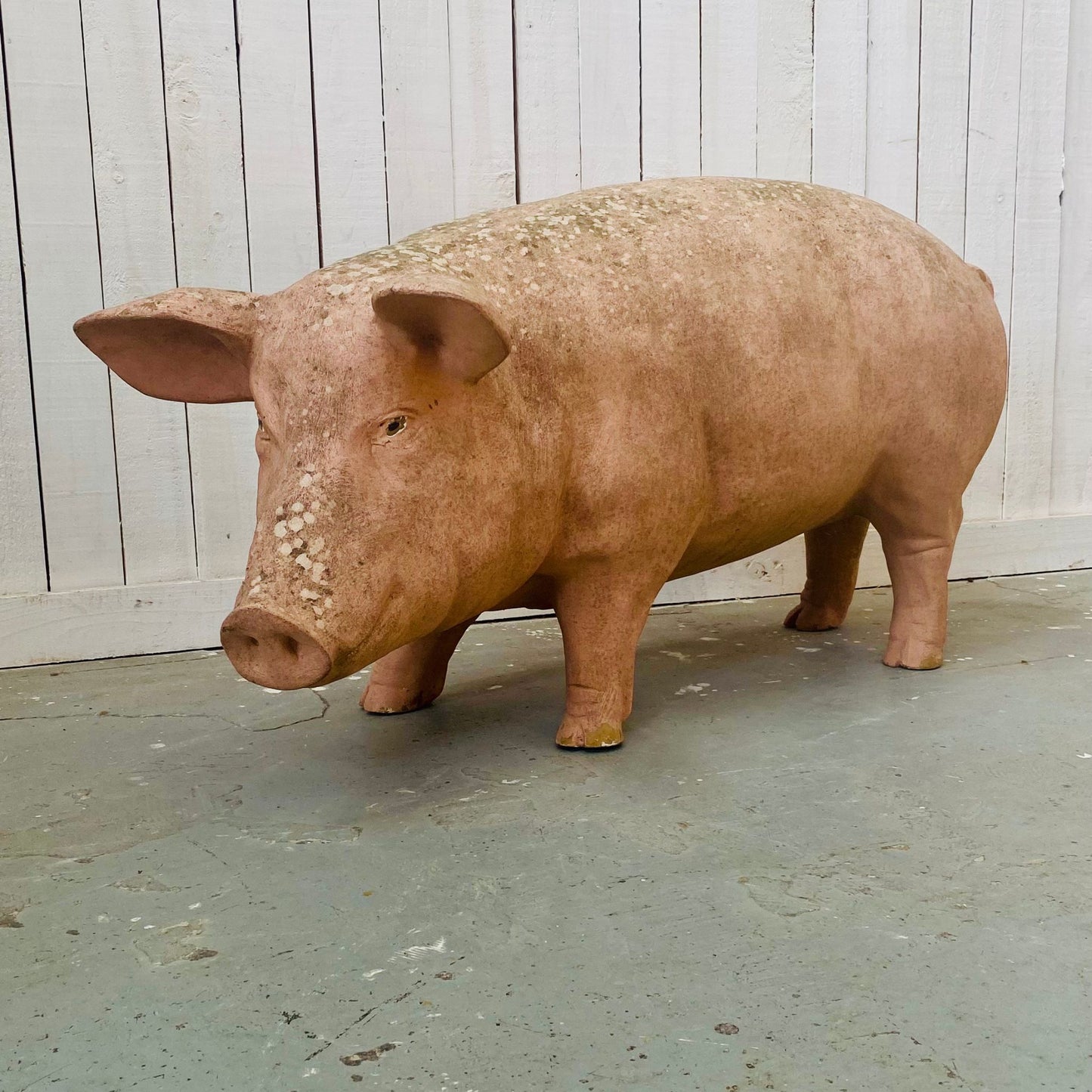 XL Butcher's Shop Display Pig